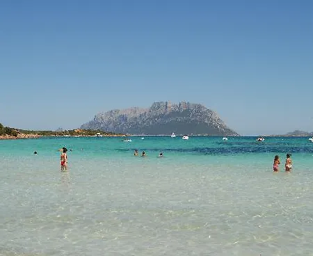 招待所 Domus Regia 3*