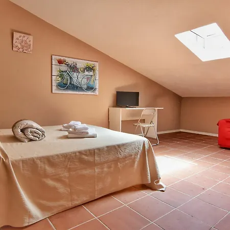 Domus Regia 招待所 奧爾比亞