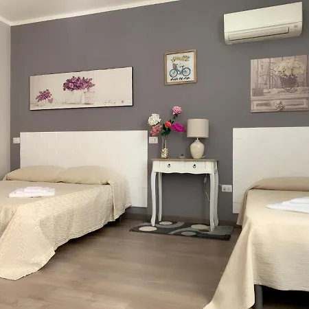 招待所 Domus Regia