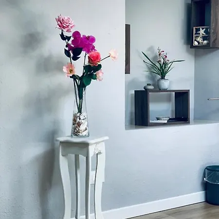 Domus Regia 招待所 奧爾比亞