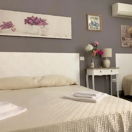 Domus Regia 奧爾比亞