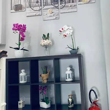 Domus Regia Gasthuis 3*