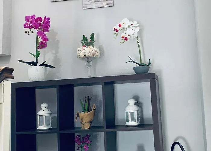 Domus Regia Pensjonat 3*