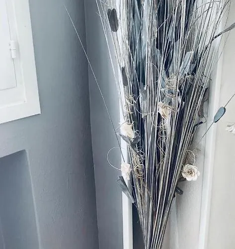 Domus Regia Pensjonat 3*