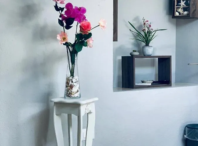 Domus Regia Pensjonat Olbia